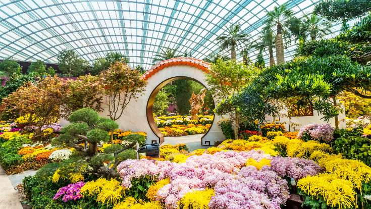 Gardens by the bay