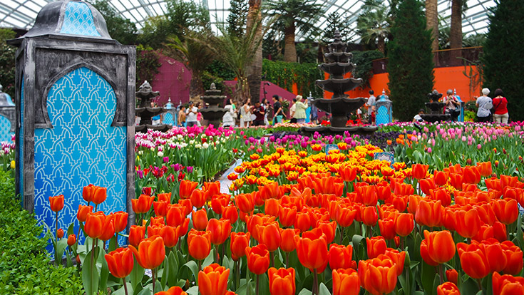 Gardens by the bay