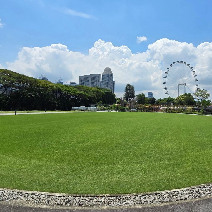 Event Lawn