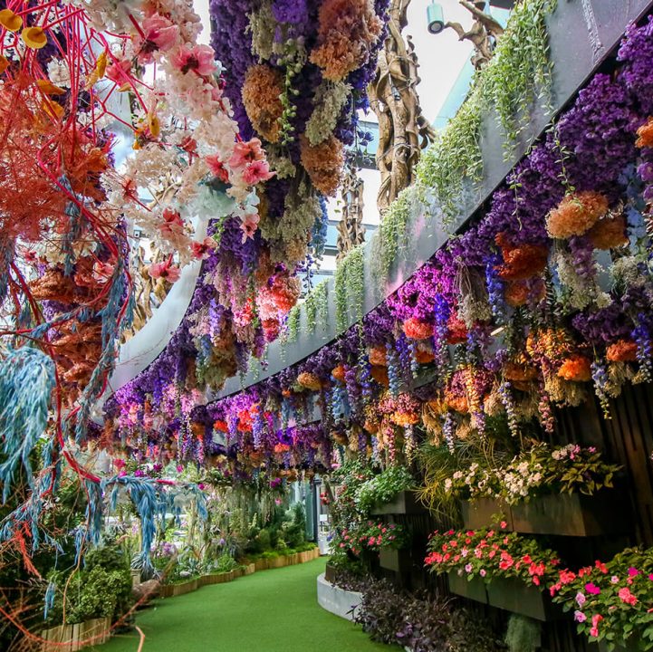 Floral Fantasy