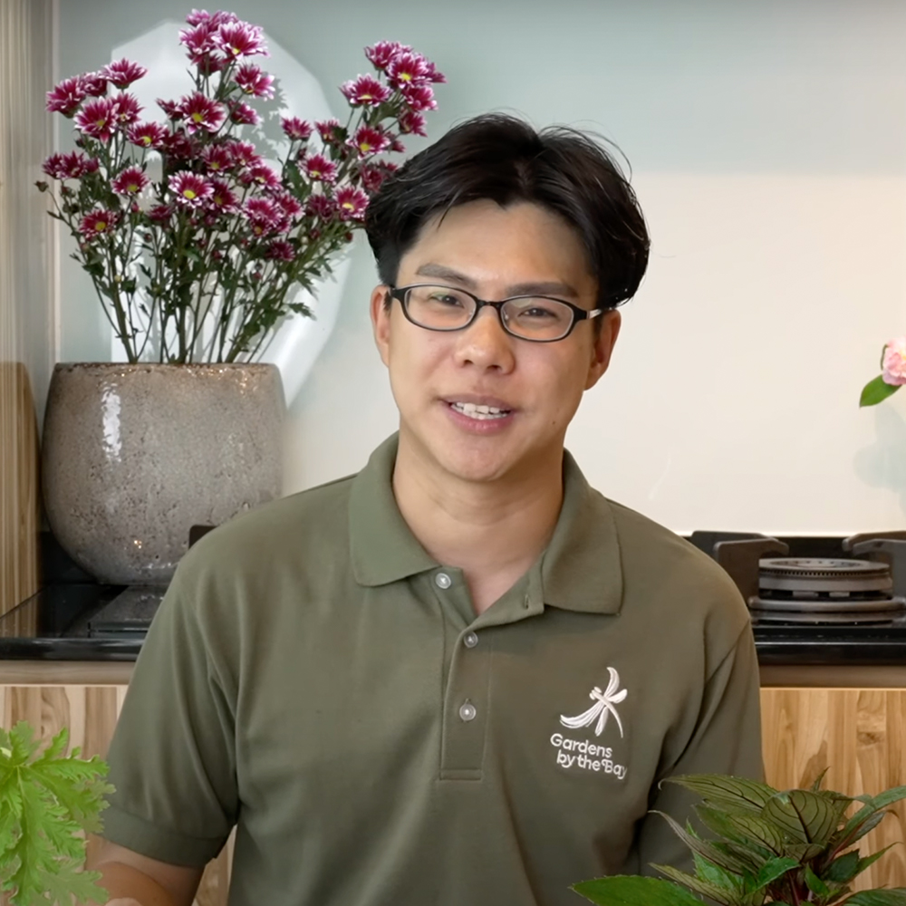Gardening Quick Tips