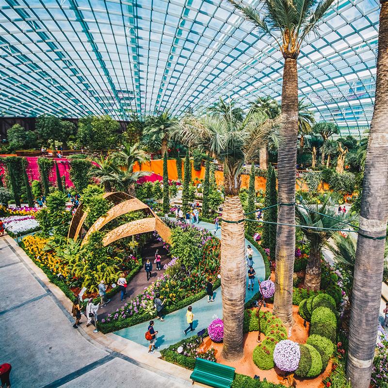 Gardens by the bay