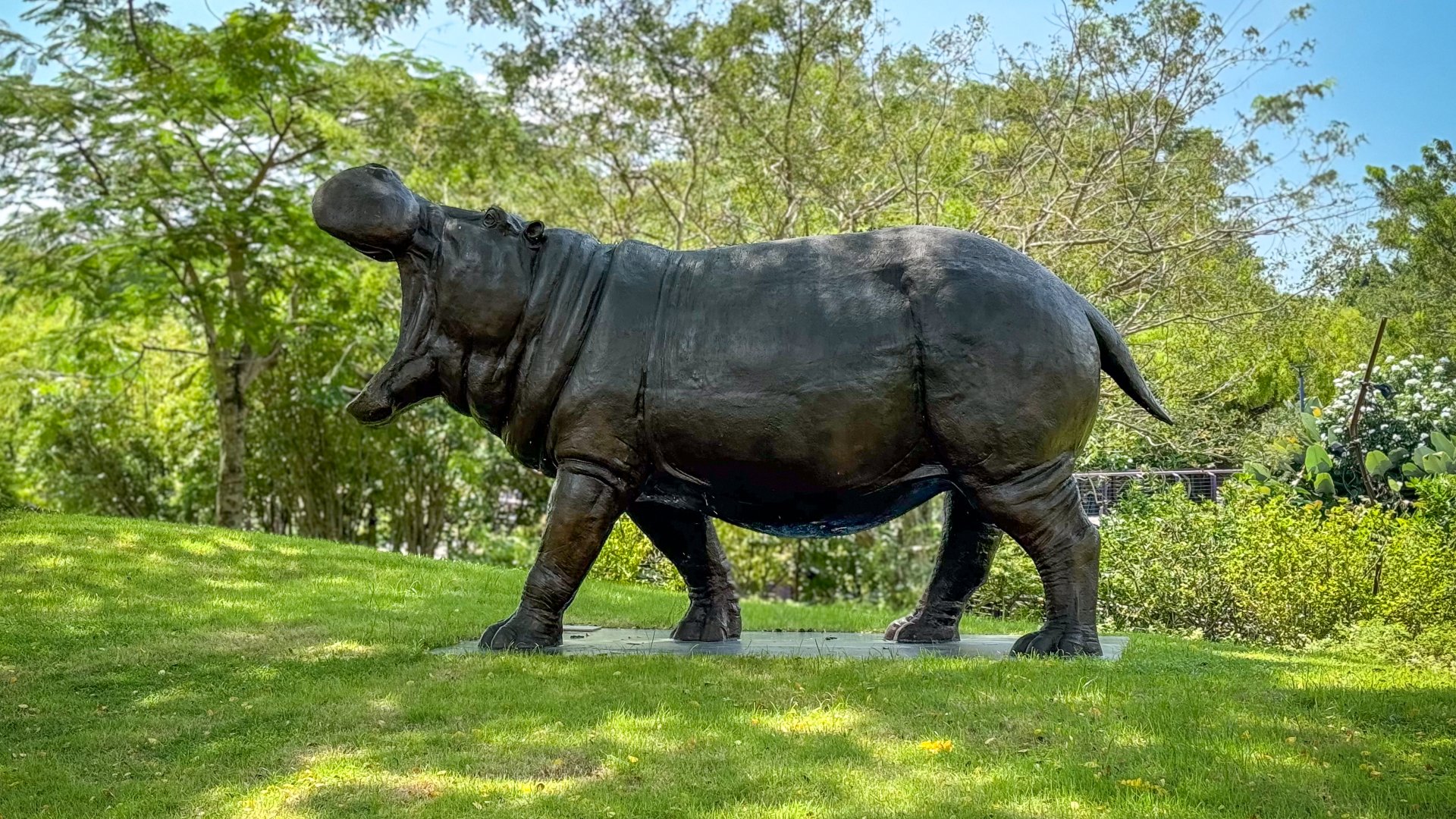 LOVE THE HIPPOPOTAMUS