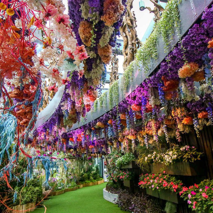 Floral Fantasy