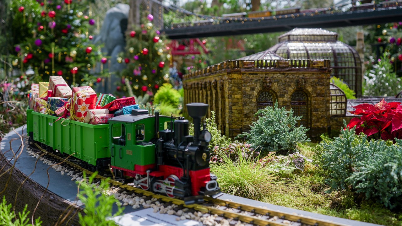 A train carrying miniature Christmas presents chugs past the botanical model of the United States Botanic Garden Conservatory, which is on loan from the American public garden in Washington, D.C.